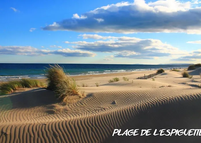 Διαμέρισμα Le Bleu Camargue - T3 En Duplex Classe 3 Etoiles - Clim - Arrivee Autonome - Piscine Privative A La - Parking Gratuit - Wifi Fibre - Animaux Acceptes - Ideale Famille Couple Teletravail *